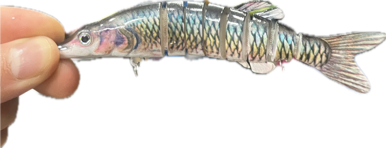 طعمه ماهیگیری استخوانی