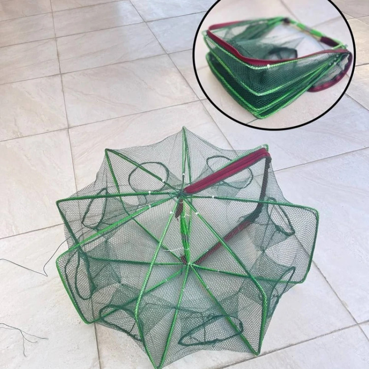 گرگور 8 چشمه