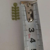 استاپر گشنیزی