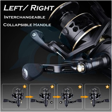 چرخ پلازینو