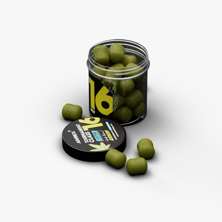 بویله وفتر شاهدانه