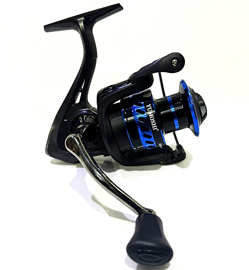 چرخ اقتصادی یوموشی