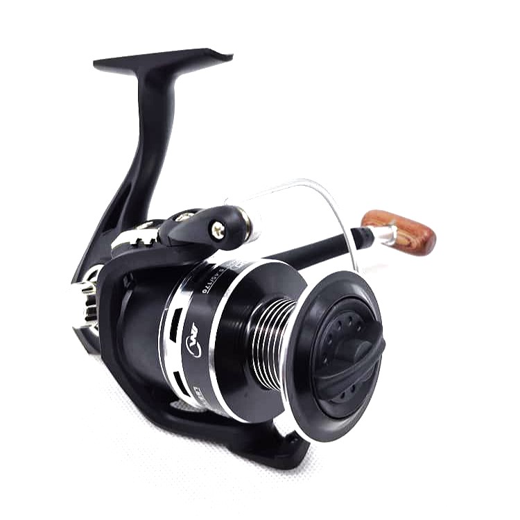 موتور ماهیگیری 6000