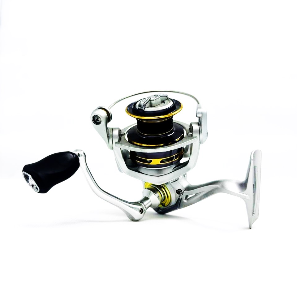 چرخ قزلی پلازینو