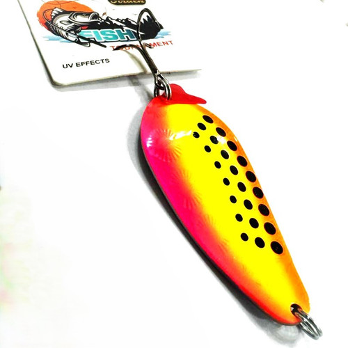 قاشقک پرچمی خالدار