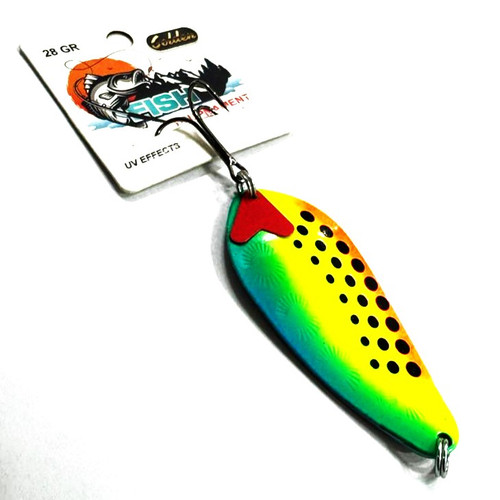 قاشقک پرچمی خالدار