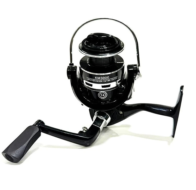 چرخ 3000 ماهیگیری