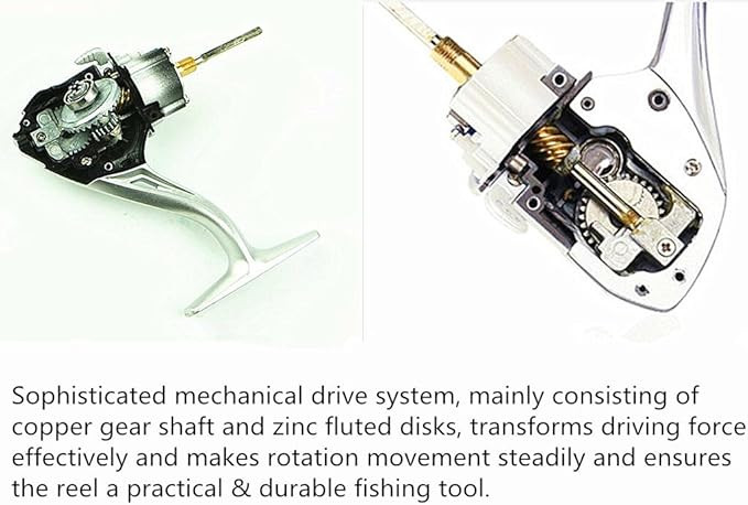 چرخ یوموشی آب شوری