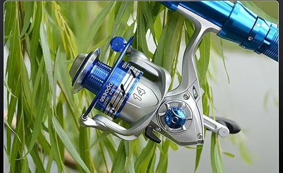 چرخ 3000 اسپین