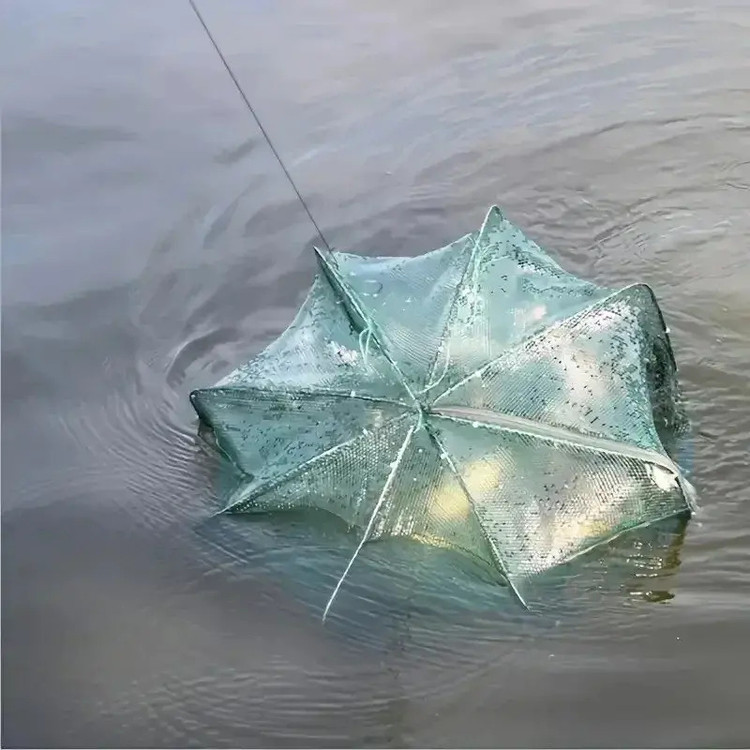 گرگور مناسب بچه ماهی