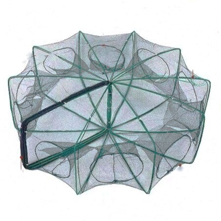 گرگور کتابی 10 چشمه