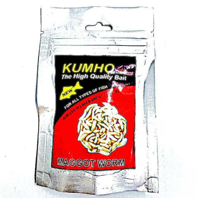 طعمه ماگوت ماهیگیری