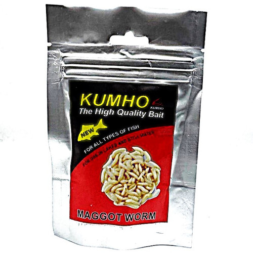 طعمه کرم ماگوت