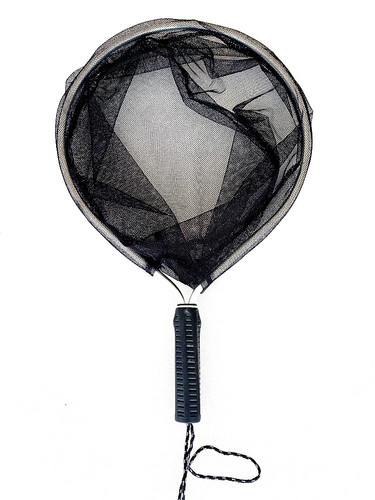 چاک بسکتی قزلی