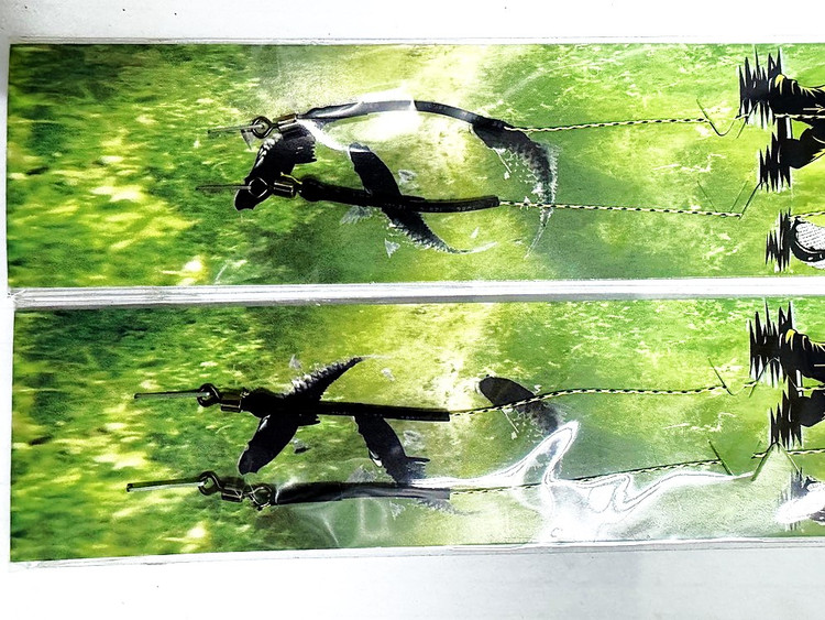 ریسه صید کپور