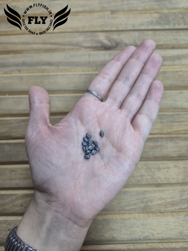 سرب چاکدار ماهیگیری گندمی 0.6g بسته 10 عددی
